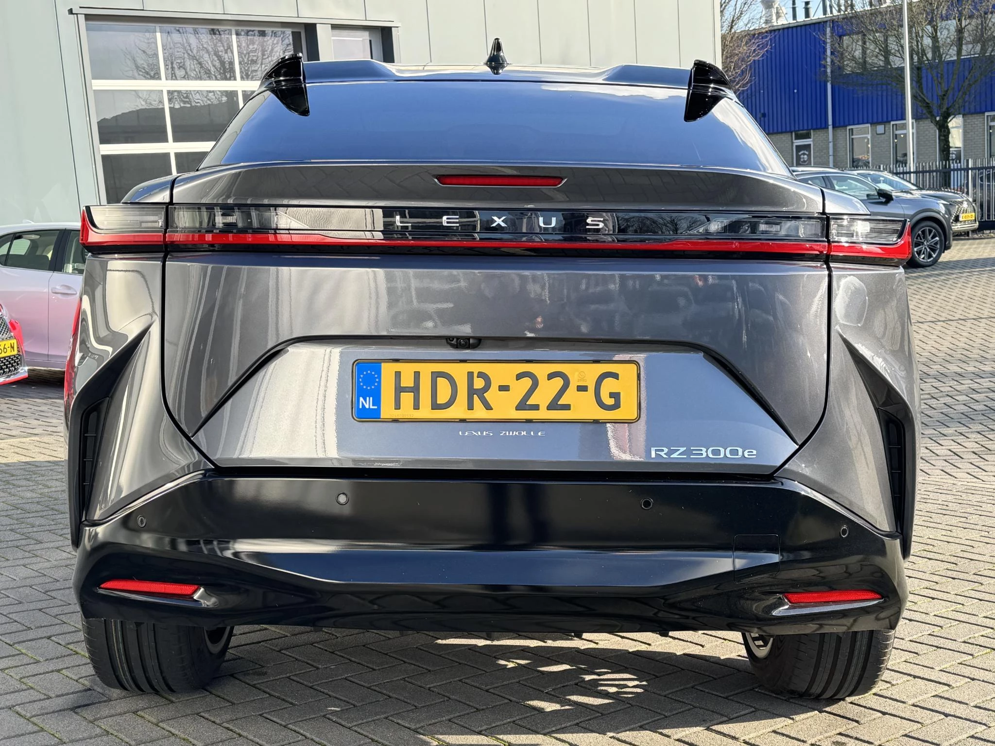 Hoofdafbeelding Lexus RZ