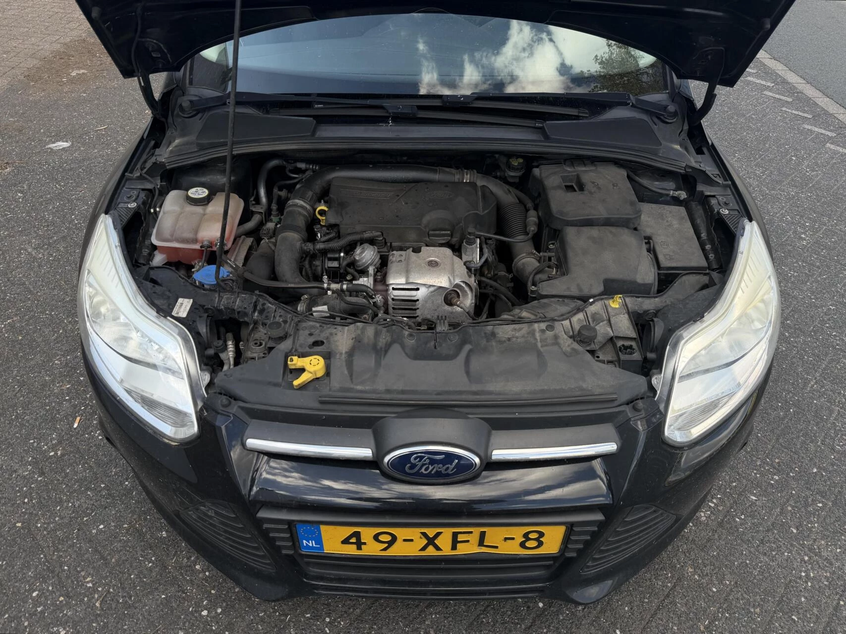 Hoofdafbeelding Ford Focus