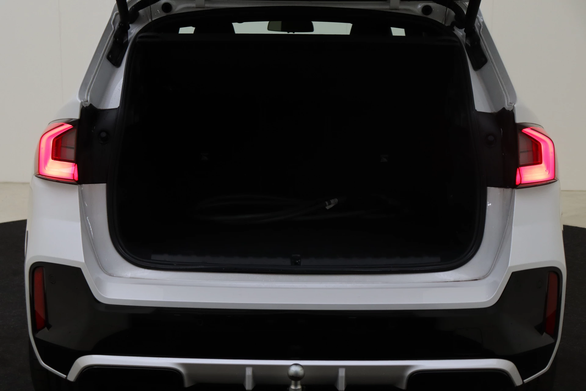 Hoofdafbeelding BMW iX1