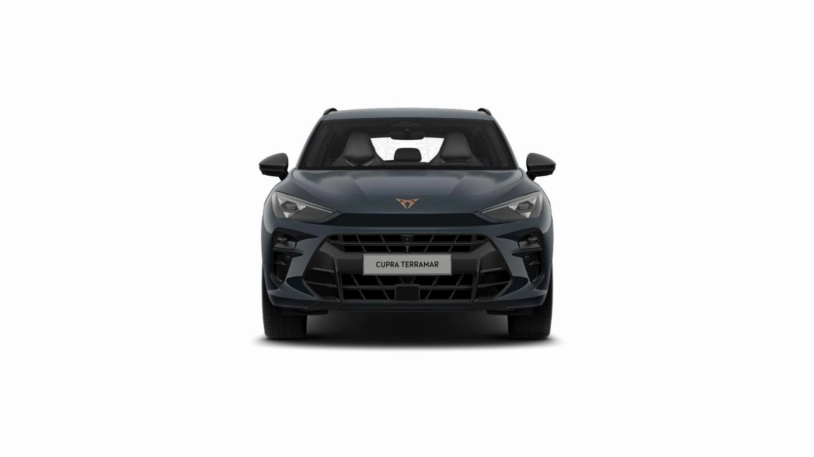 Hoofdafbeelding CUPRA Terramar