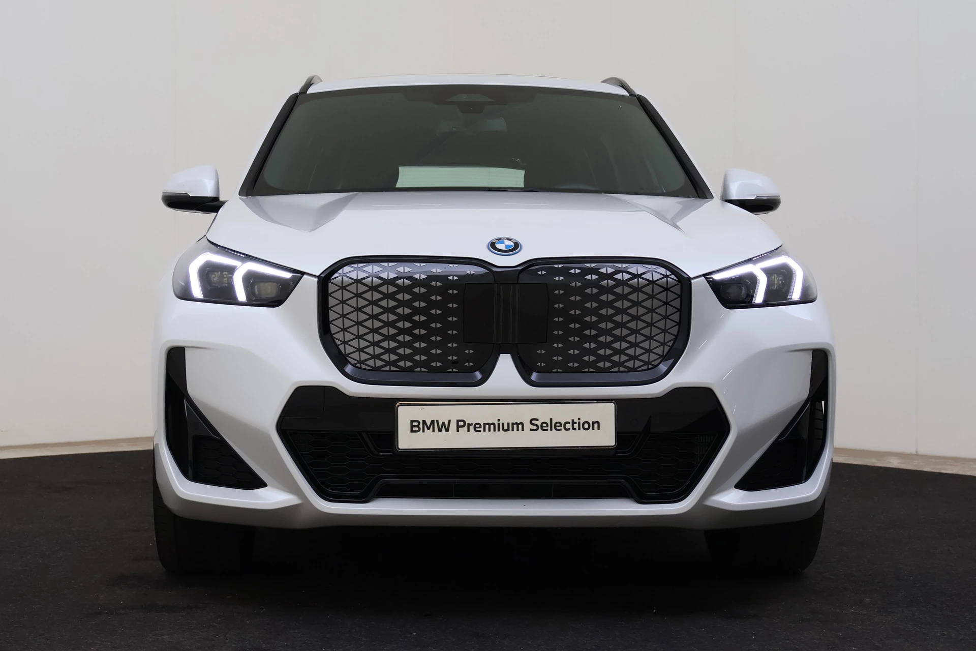 Hoofdafbeelding BMW iX1