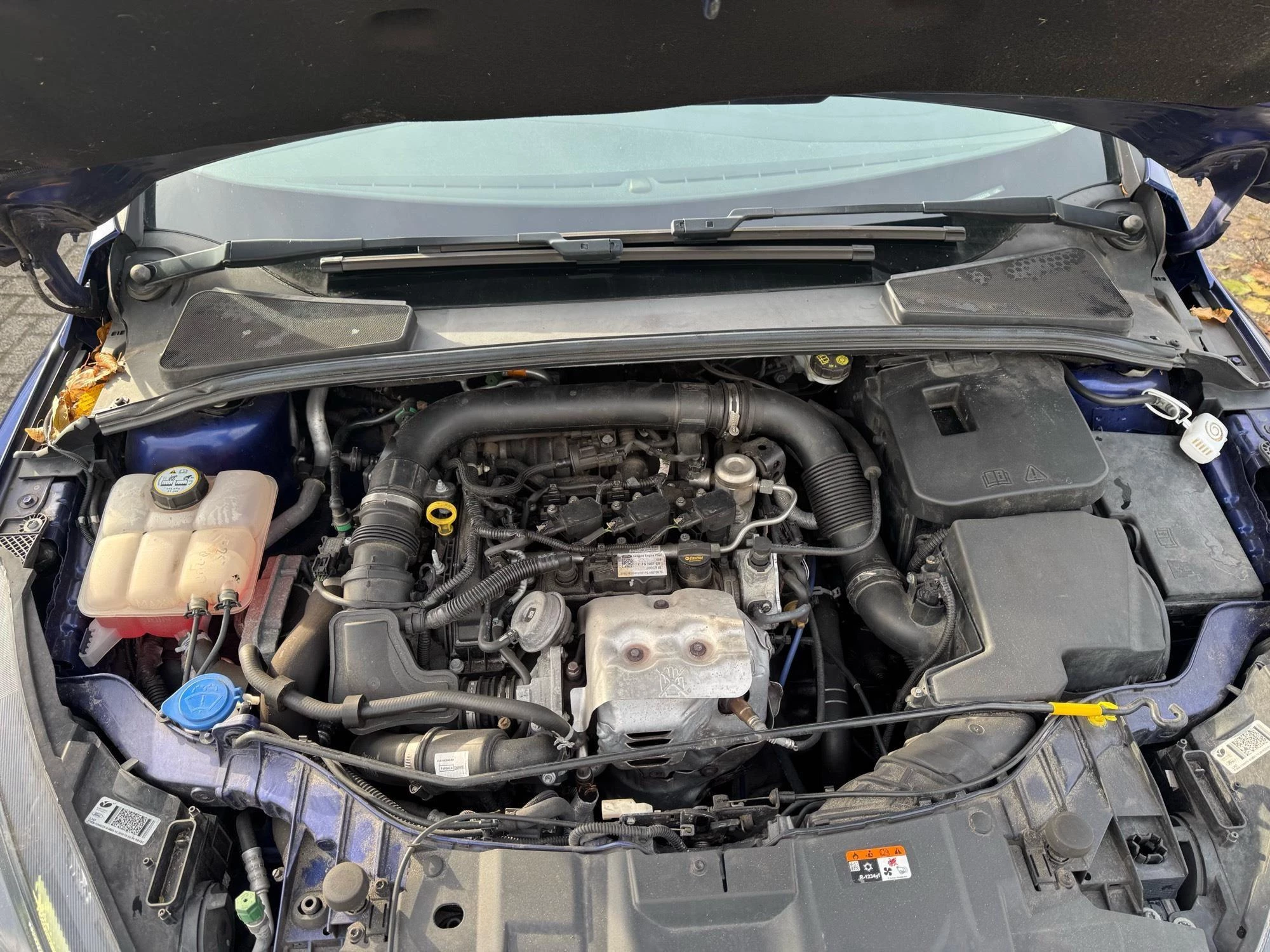 Hoofdafbeelding Ford Focus