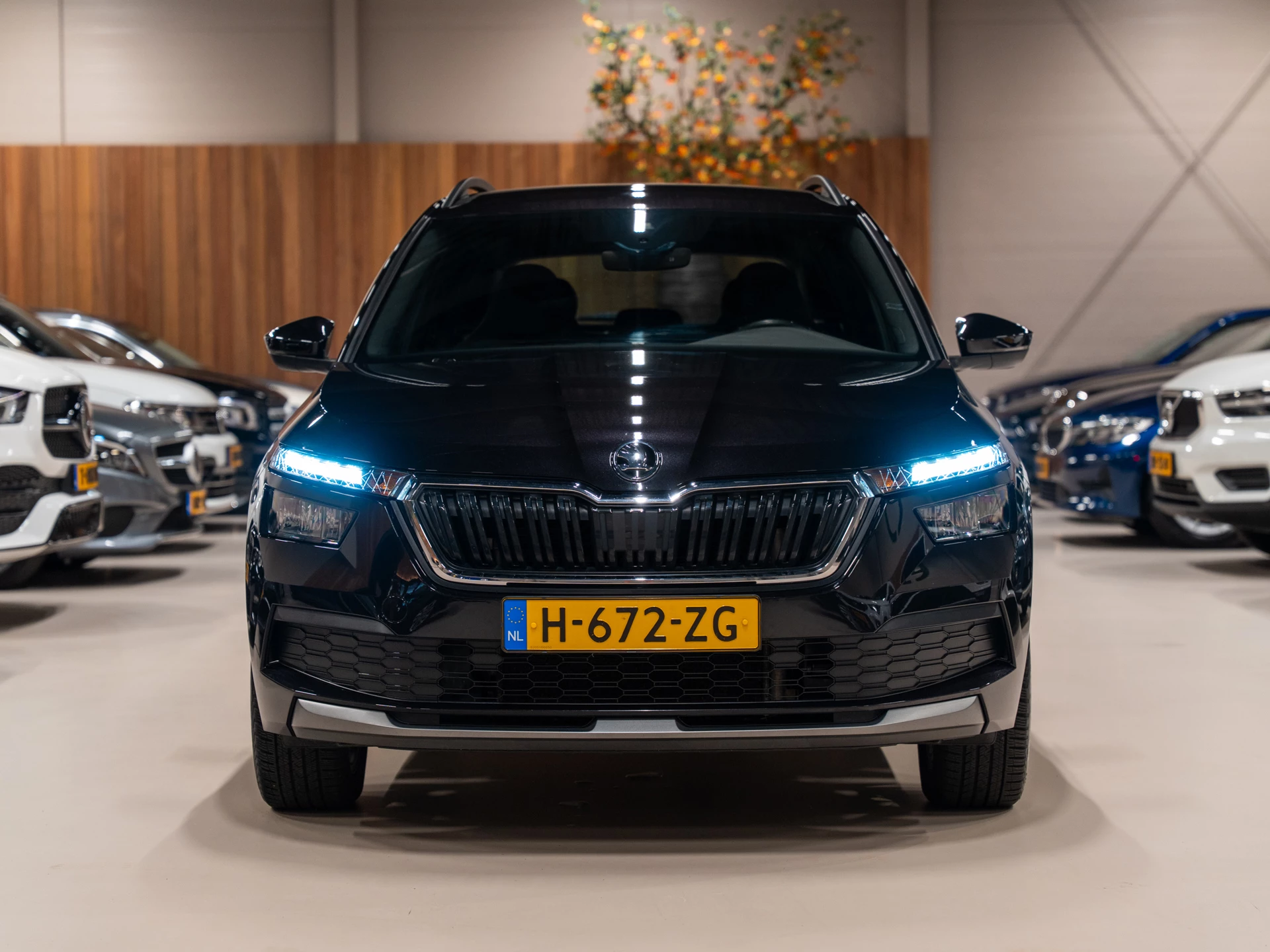 Hoofdafbeelding Škoda Kamiq