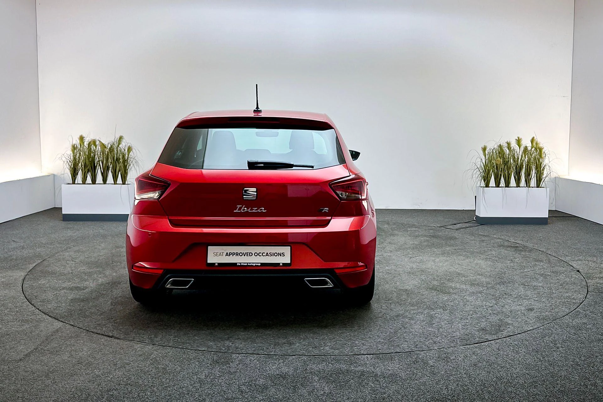 Hoofdafbeelding SEAT Ibiza