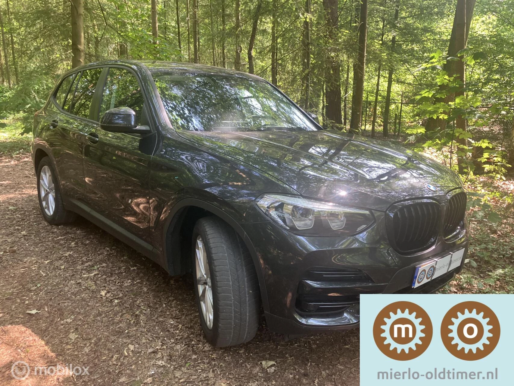 Hoofdafbeelding BMW X3