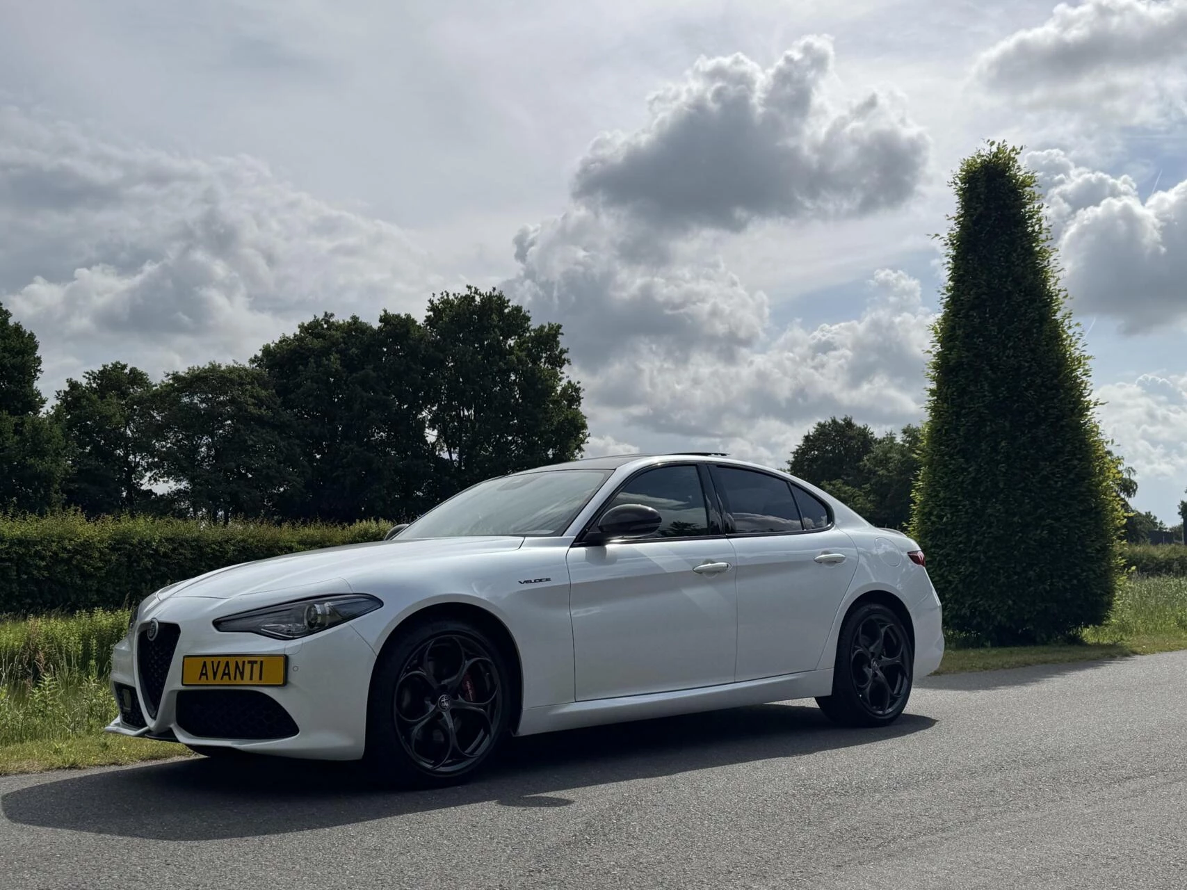Hoofdafbeelding Alfa Romeo Giulia