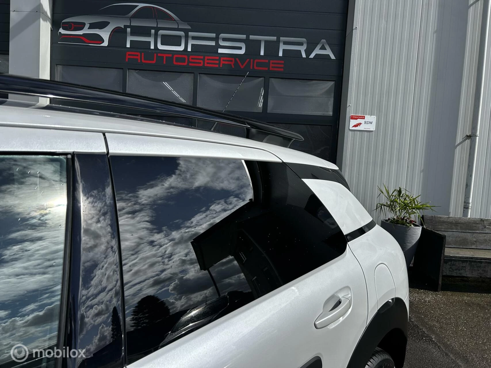 Hoofdafbeelding Citroën C4 Cactus