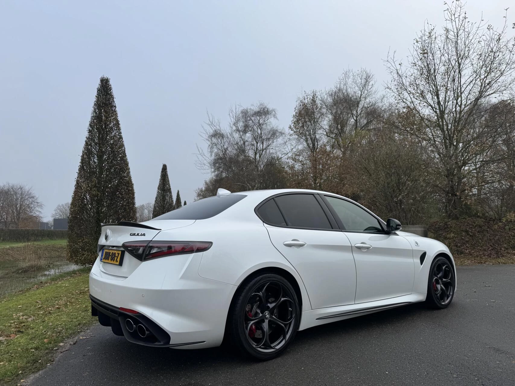Hoofdafbeelding Alfa Romeo Giulia