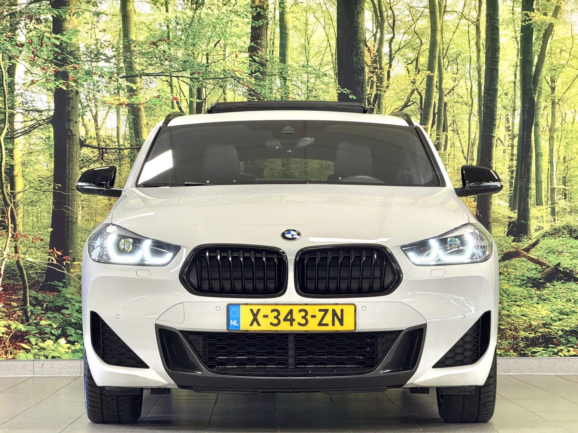 Hoofdafbeelding BMW X2