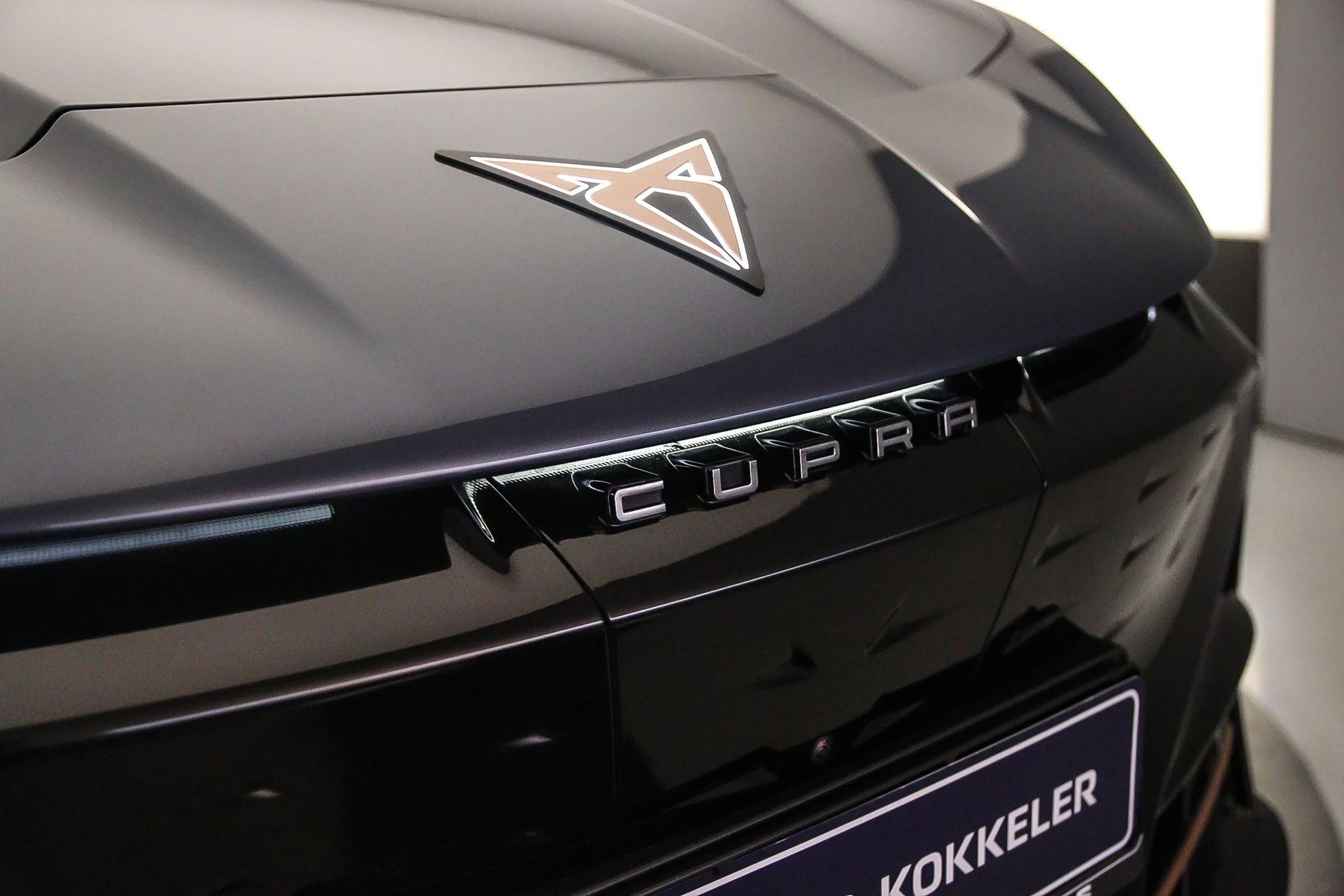 Hoofdafbeelding CUPRA Tavascan