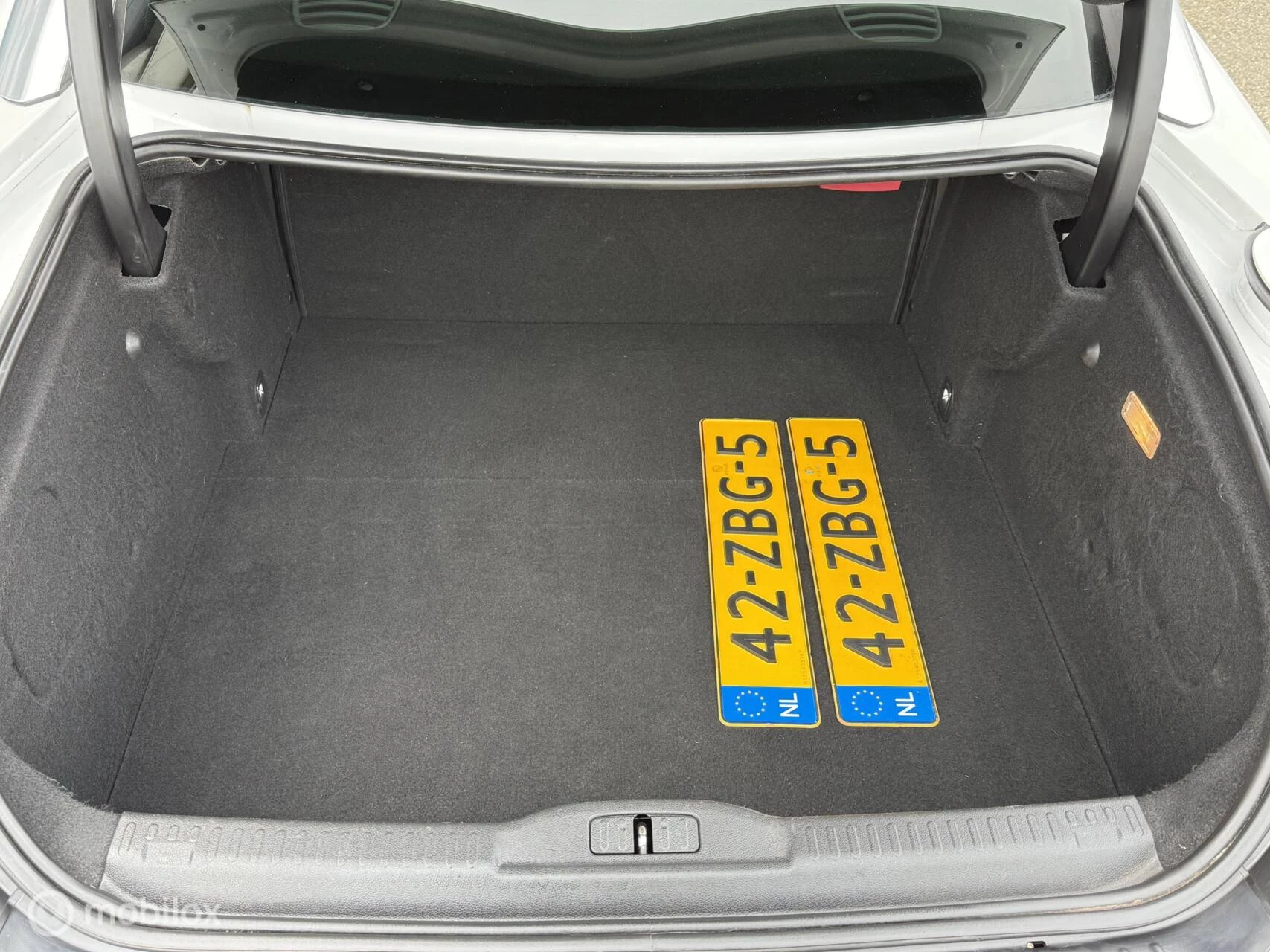 Hoofdafbeelding Peugeot RCZ