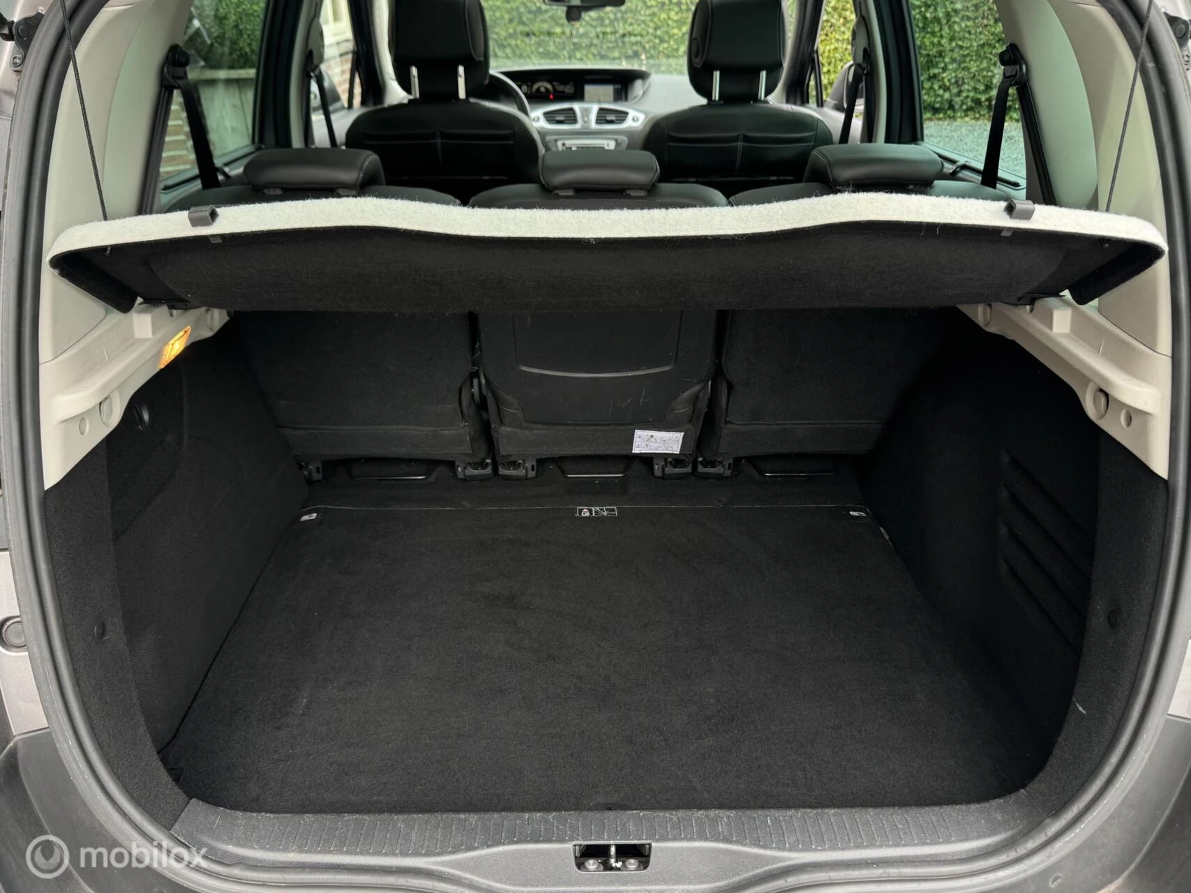 Hoofdafbeelding Renault Scénic