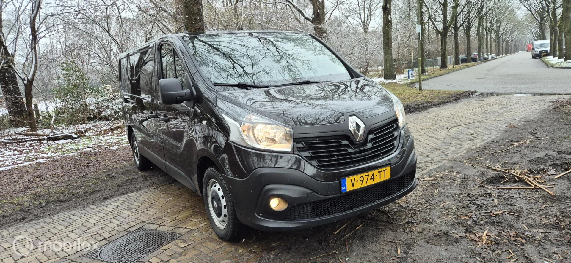 Hoofdafbeelding Renault Trafic