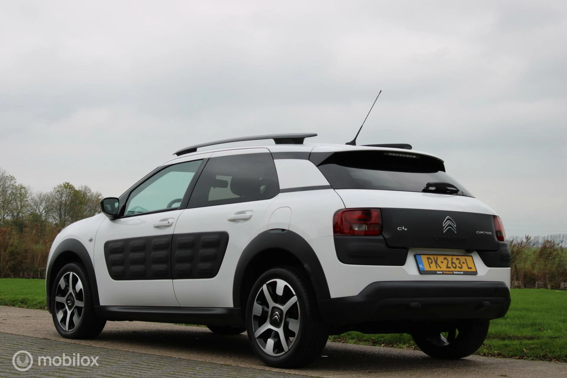 Hoofdafbeelding Citroën C4 Cactus