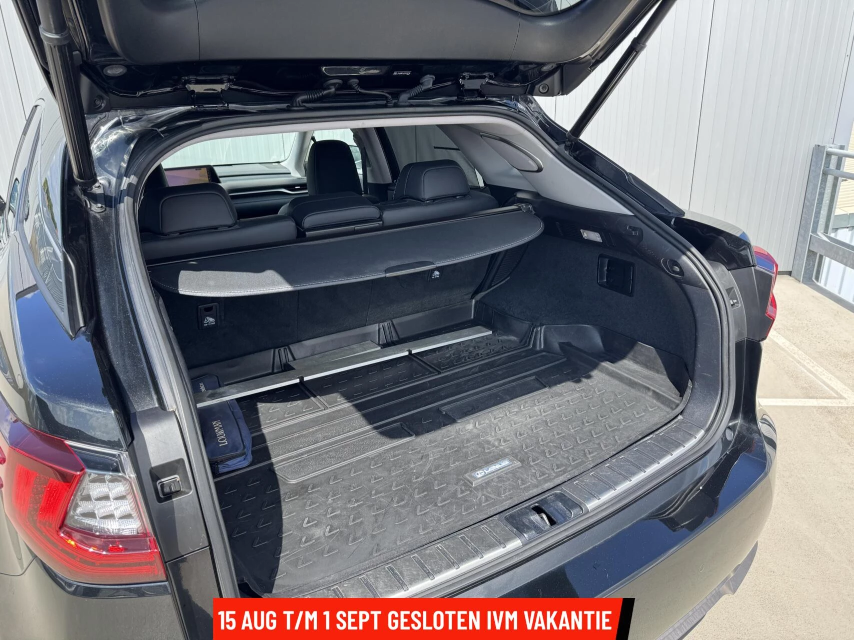 Hoofdafbeelding Lexus RX