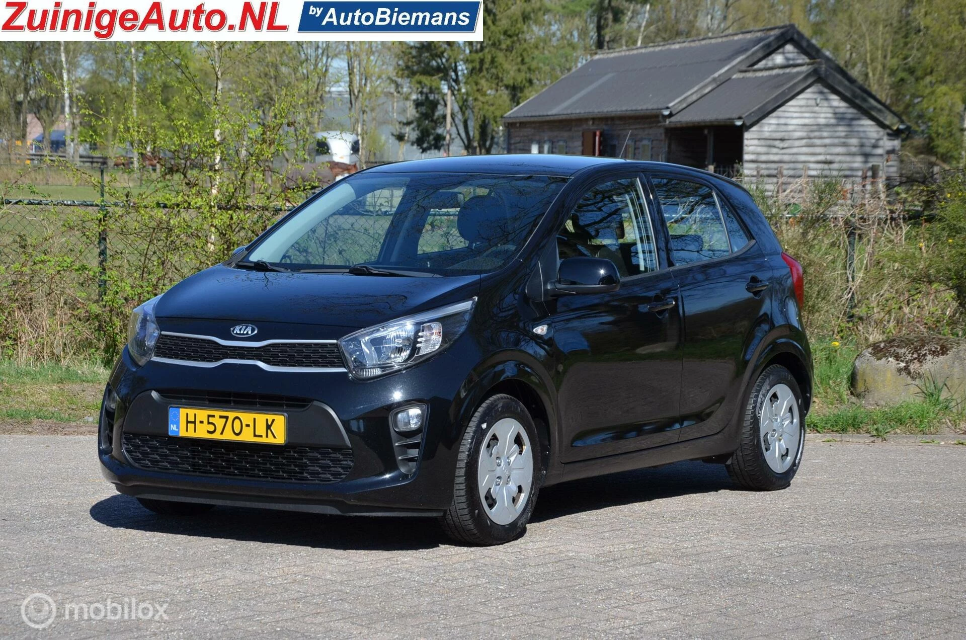 Hoofdafbeelding Kia Picanto