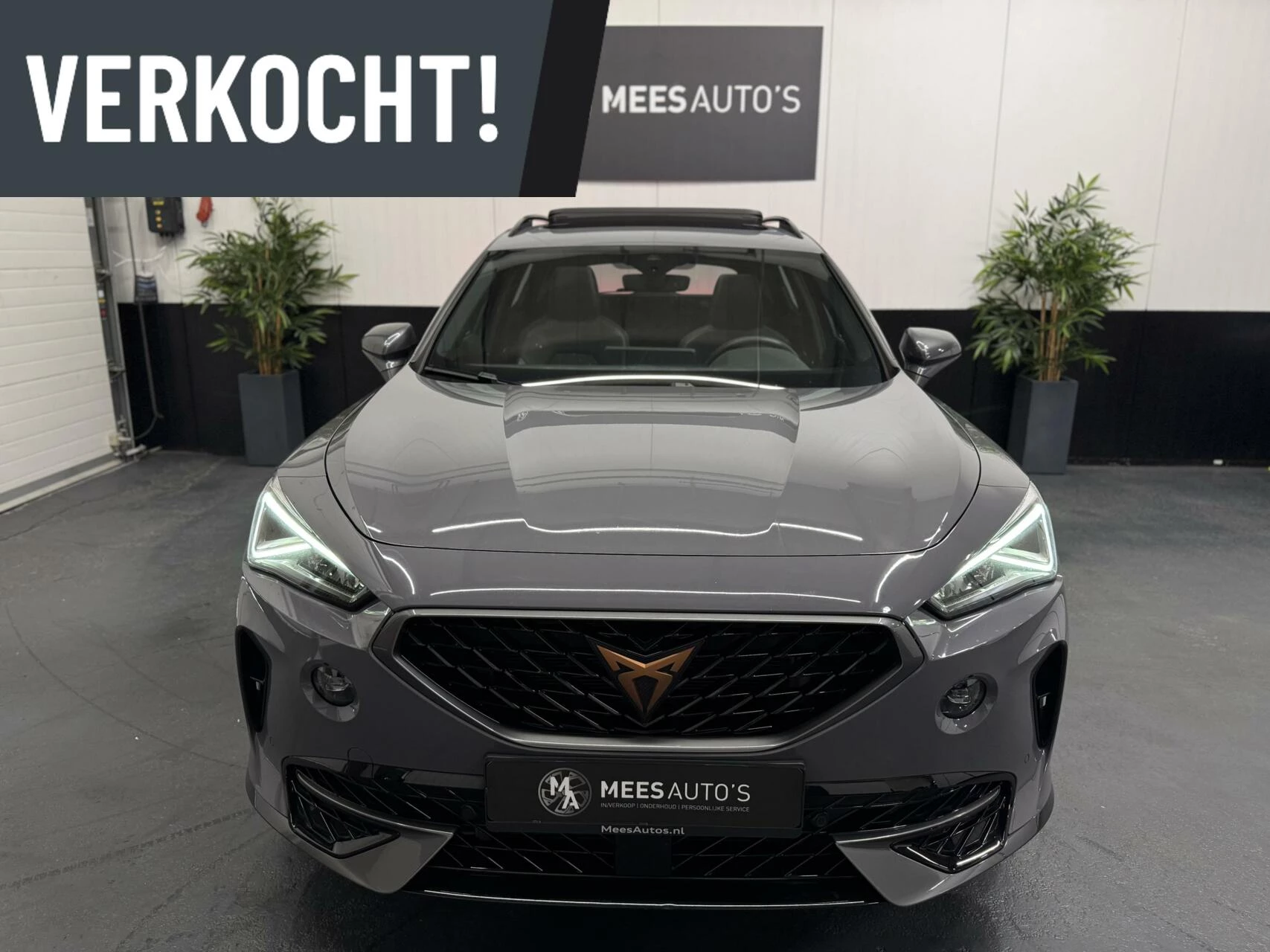 Hoofdafbeelding CUPRA Formentor