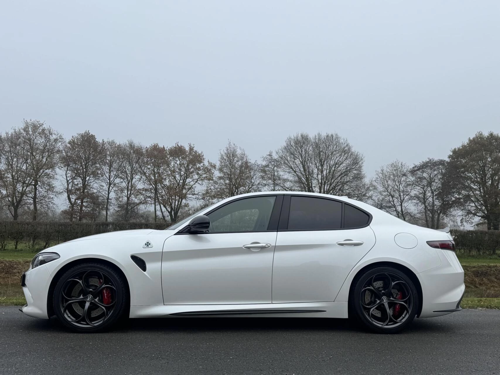 Hoofdafbeelding Alfa Romeo Giulia