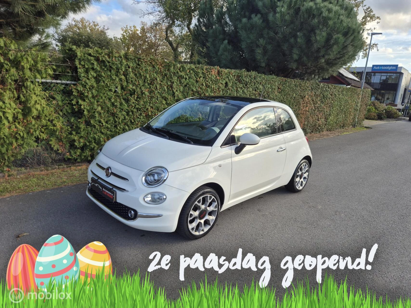 Hoofdafbeelding Fiat 500