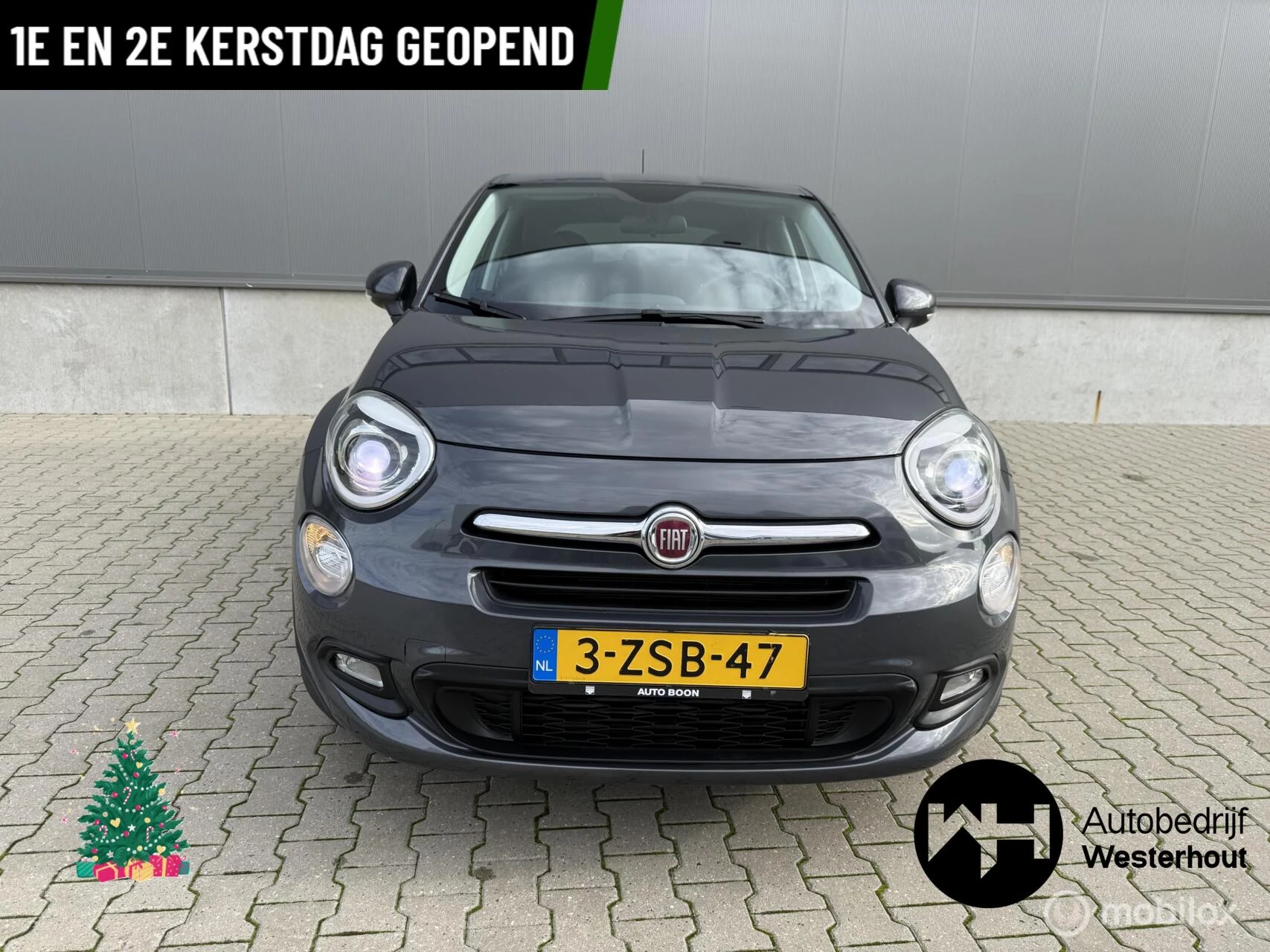 Hoofdafbeelding Fiat 500X