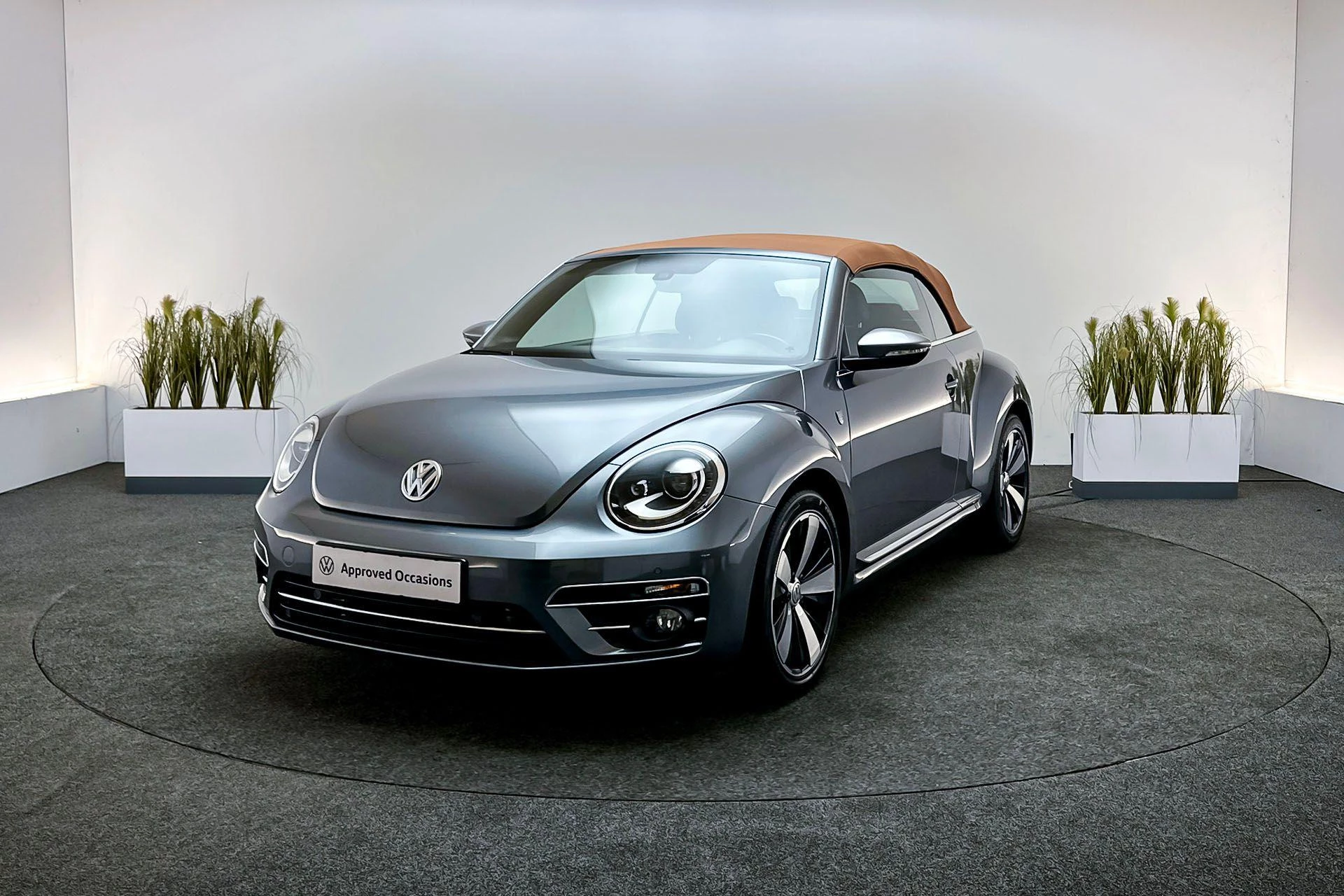 Hoofdafbeelding Volkswagen Beetle