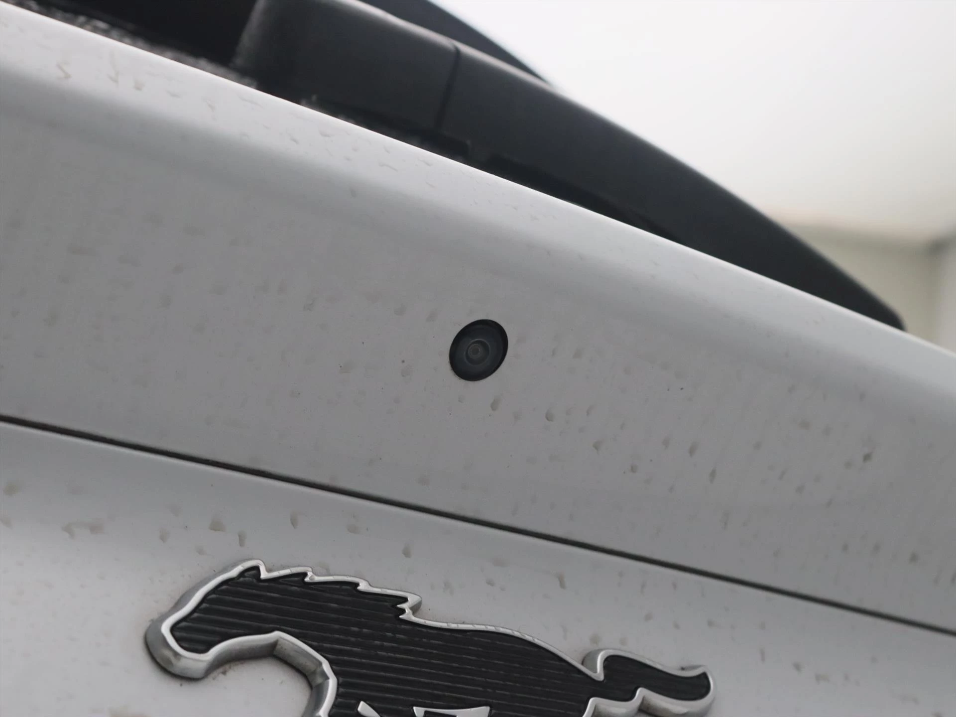 Hoofdafbeelding Ford Mustang Mach-E