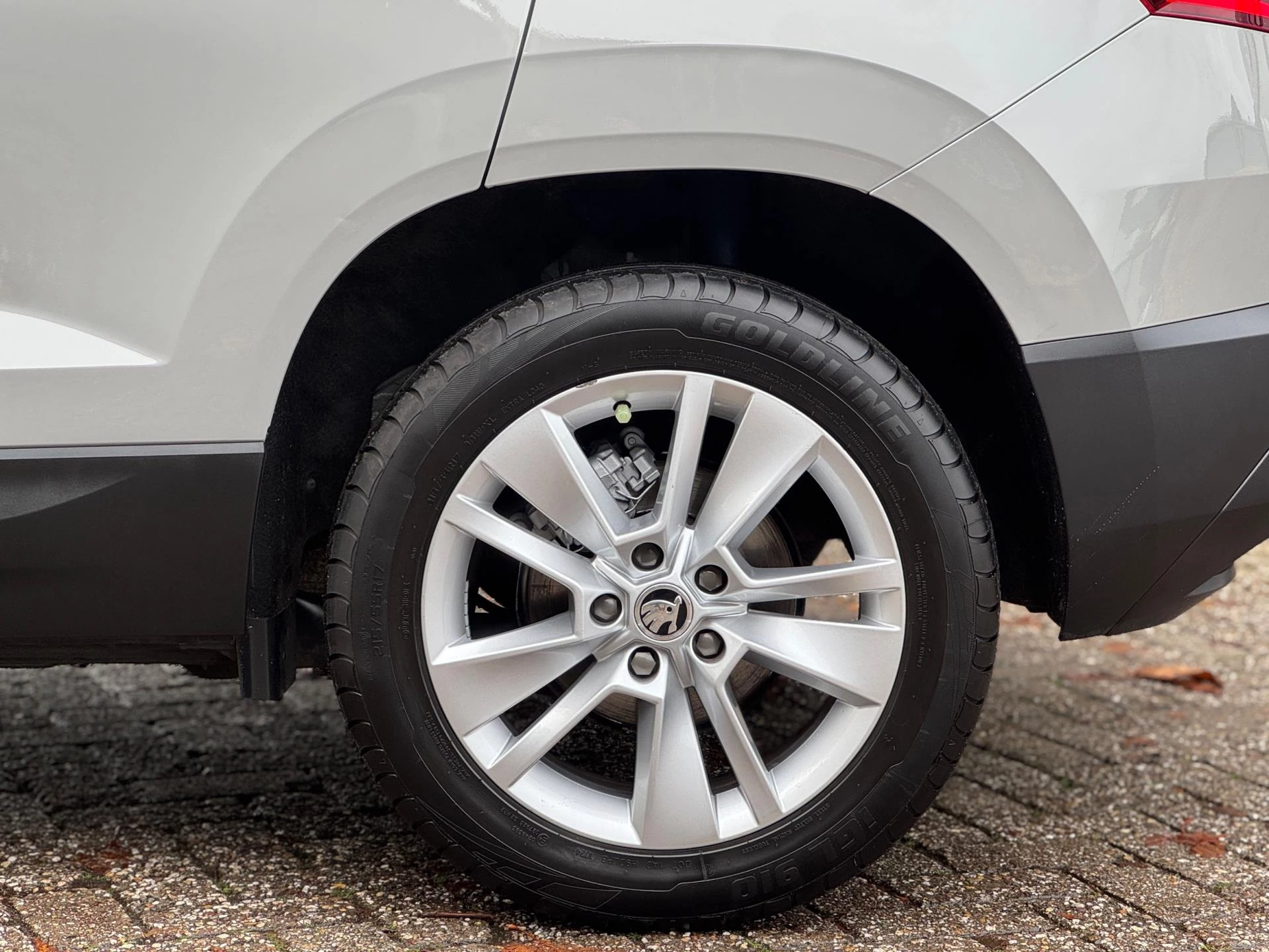 Hoofdafbeelding Škoda Karoq