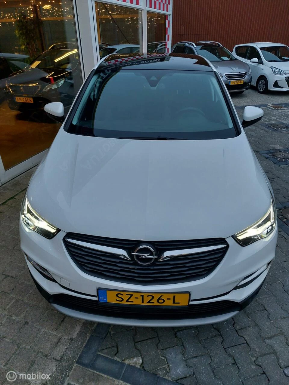 Hoofdafbeelding Opel Grandland X