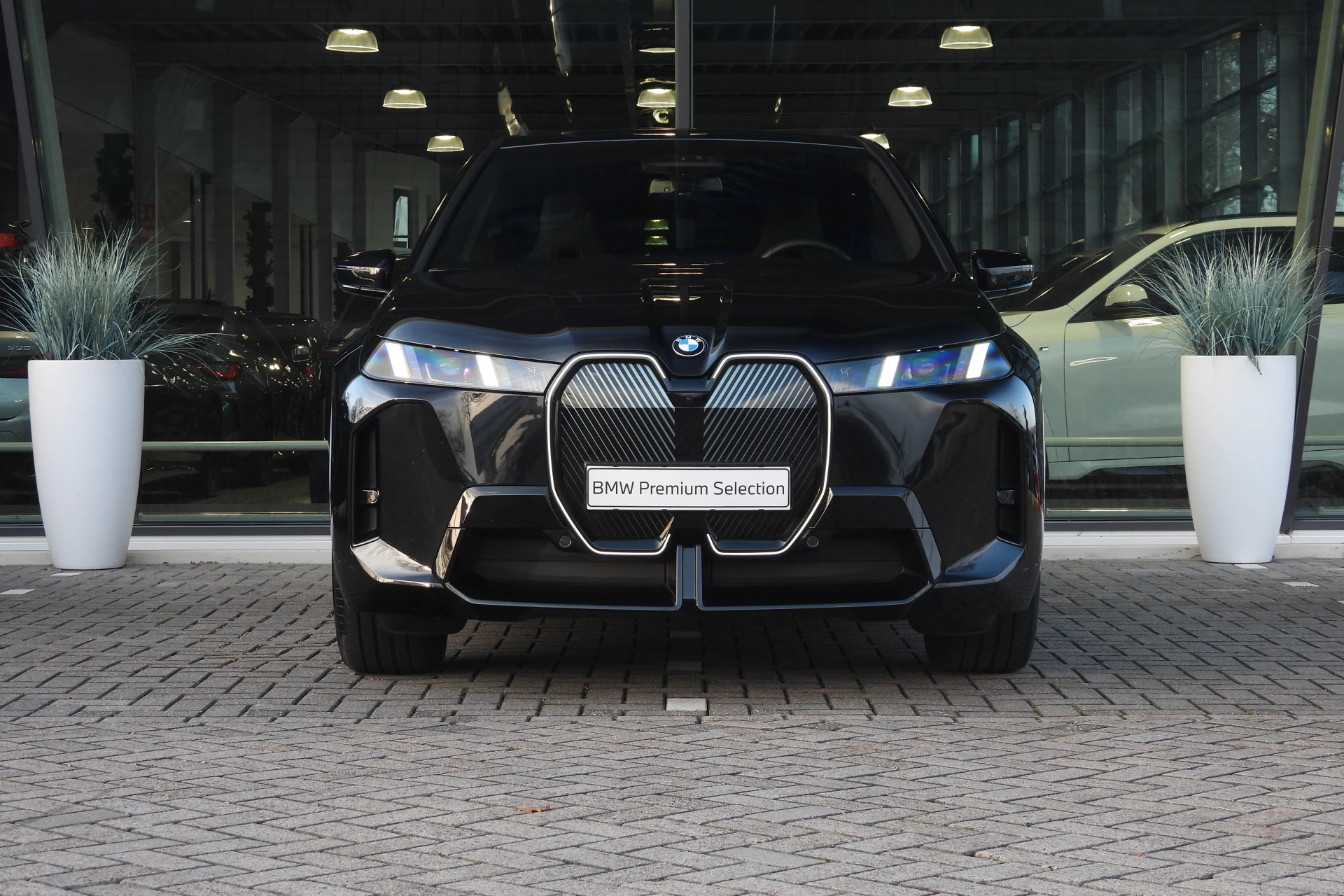 Hoofdafbeelding BMW iX