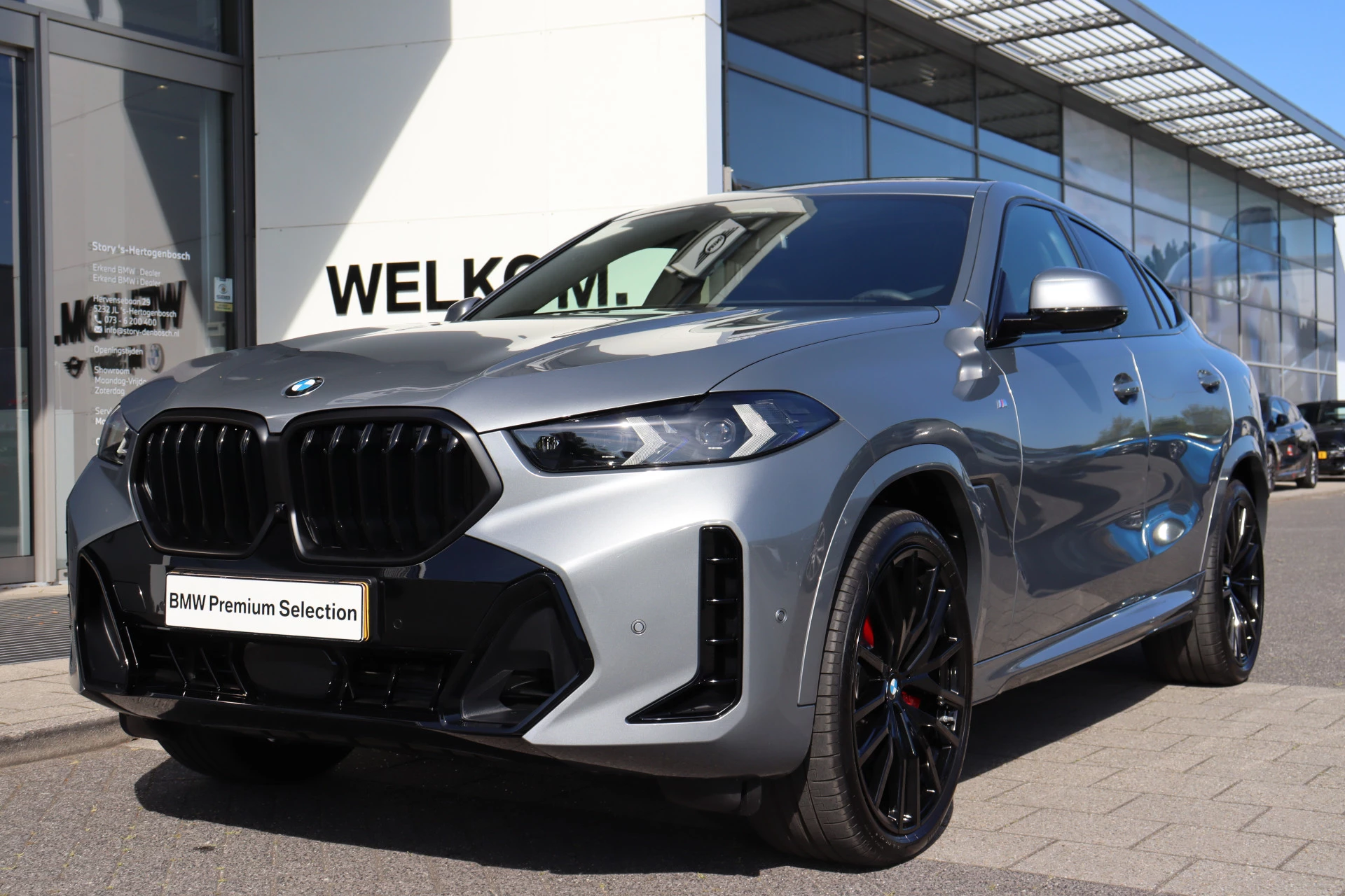 Hoofdafbeelding BMW X6