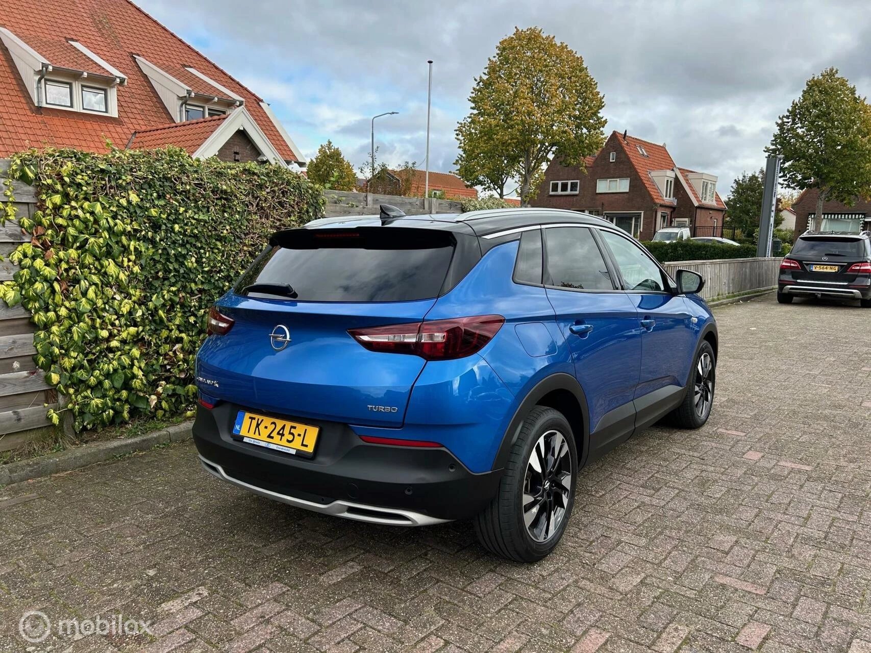 Hoofdafbeelding Opel Grandland X