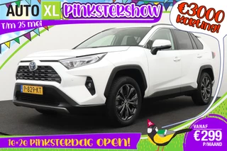Toyota RAV4 2.5 Hybrid Business+ JBL 360* Camera Leder