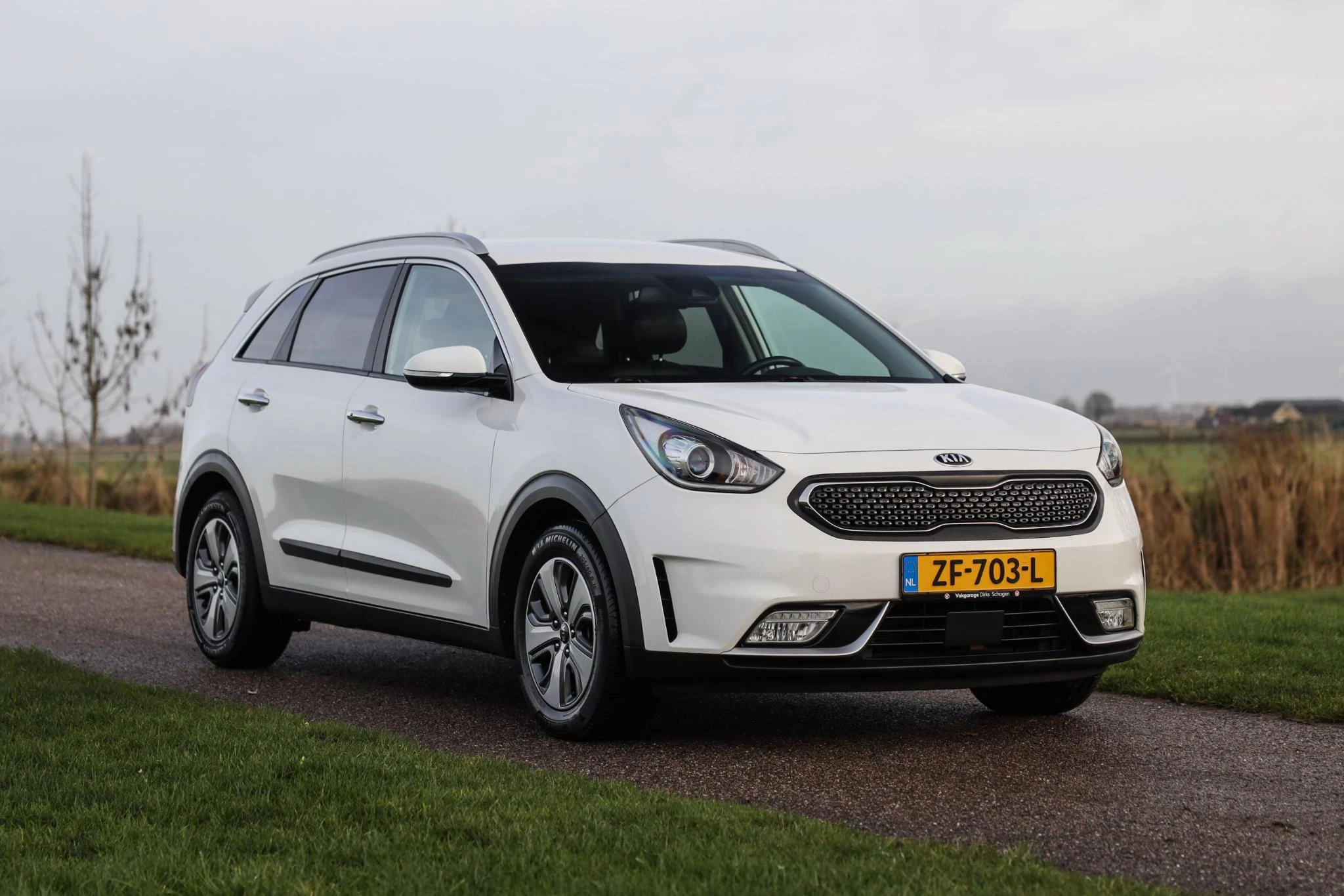 Hoofdafbeelding Kia Niro