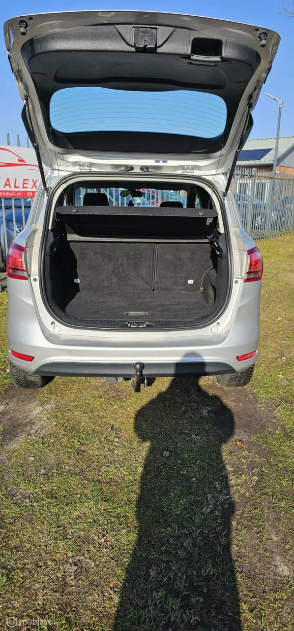 Hoofdafbeelding Ford B-MAX