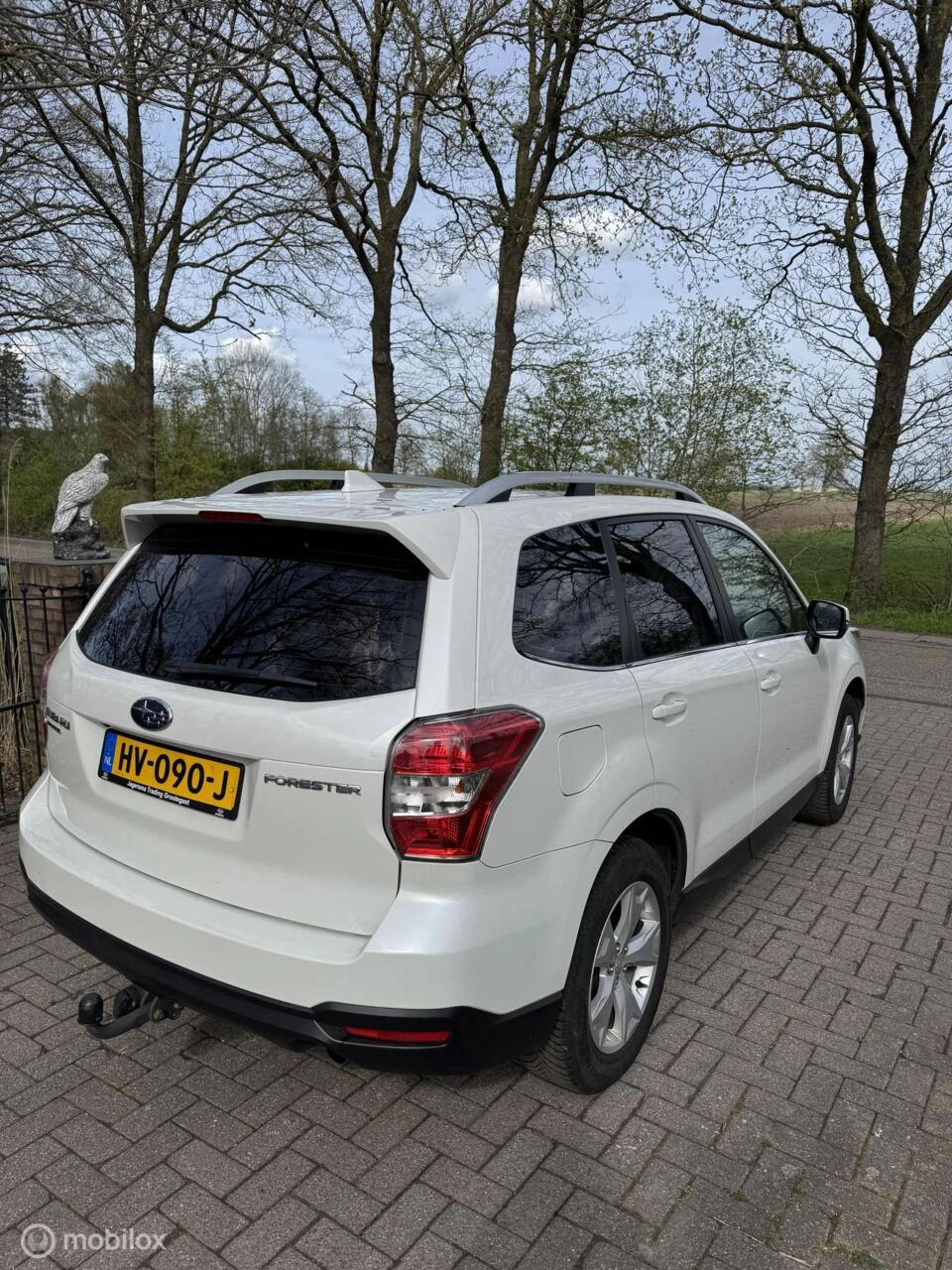 Hoofdafbeelding Subaru Forester