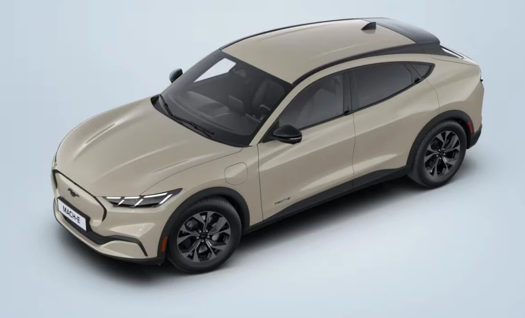 Hoofdafbeelding Ford Mustang Mach-E