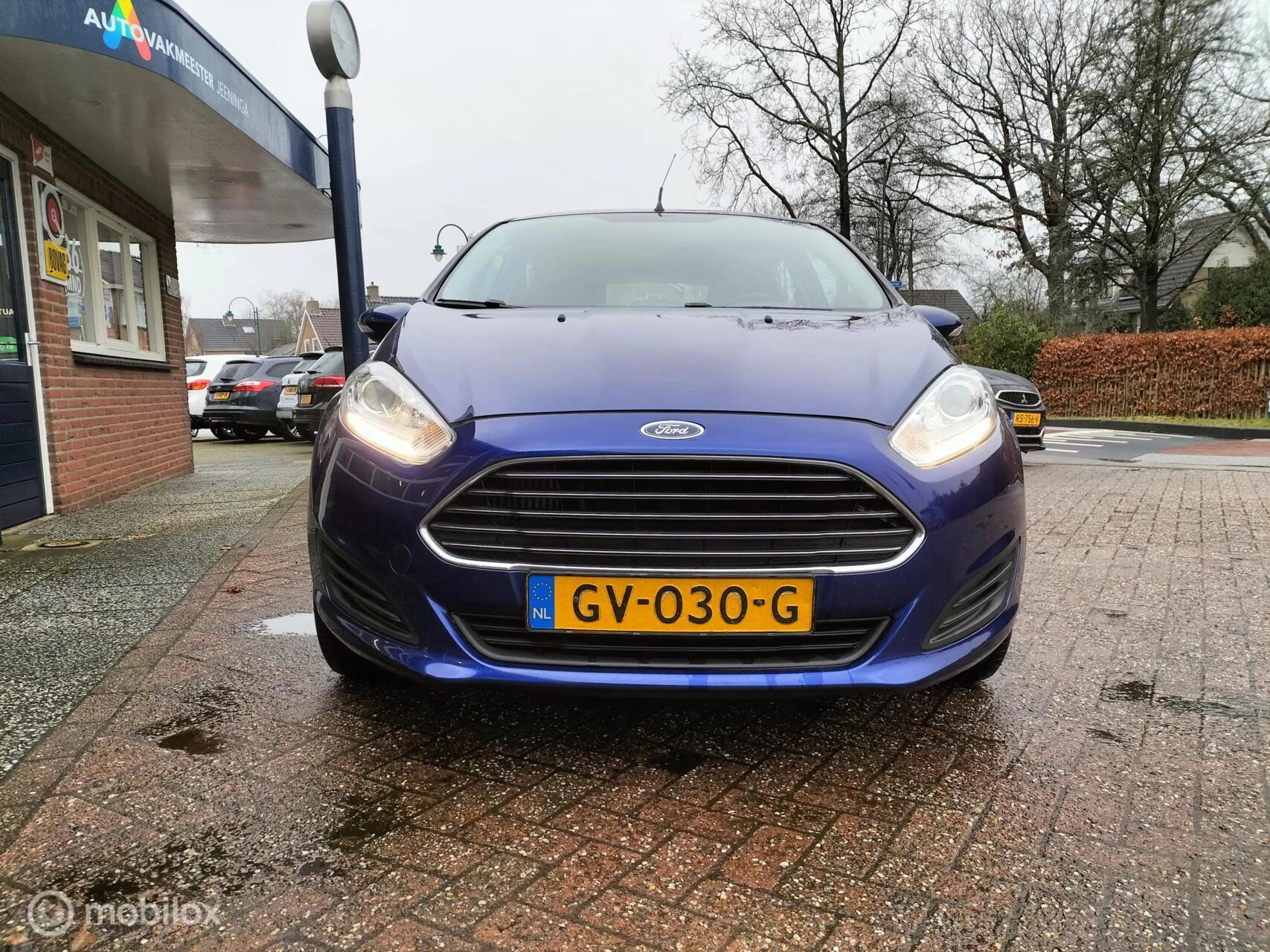 Hoofdafbeelding Ford Fiesta
