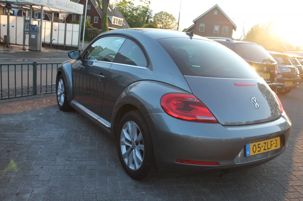 Hoofdafbeelding Volkswagen Beetle