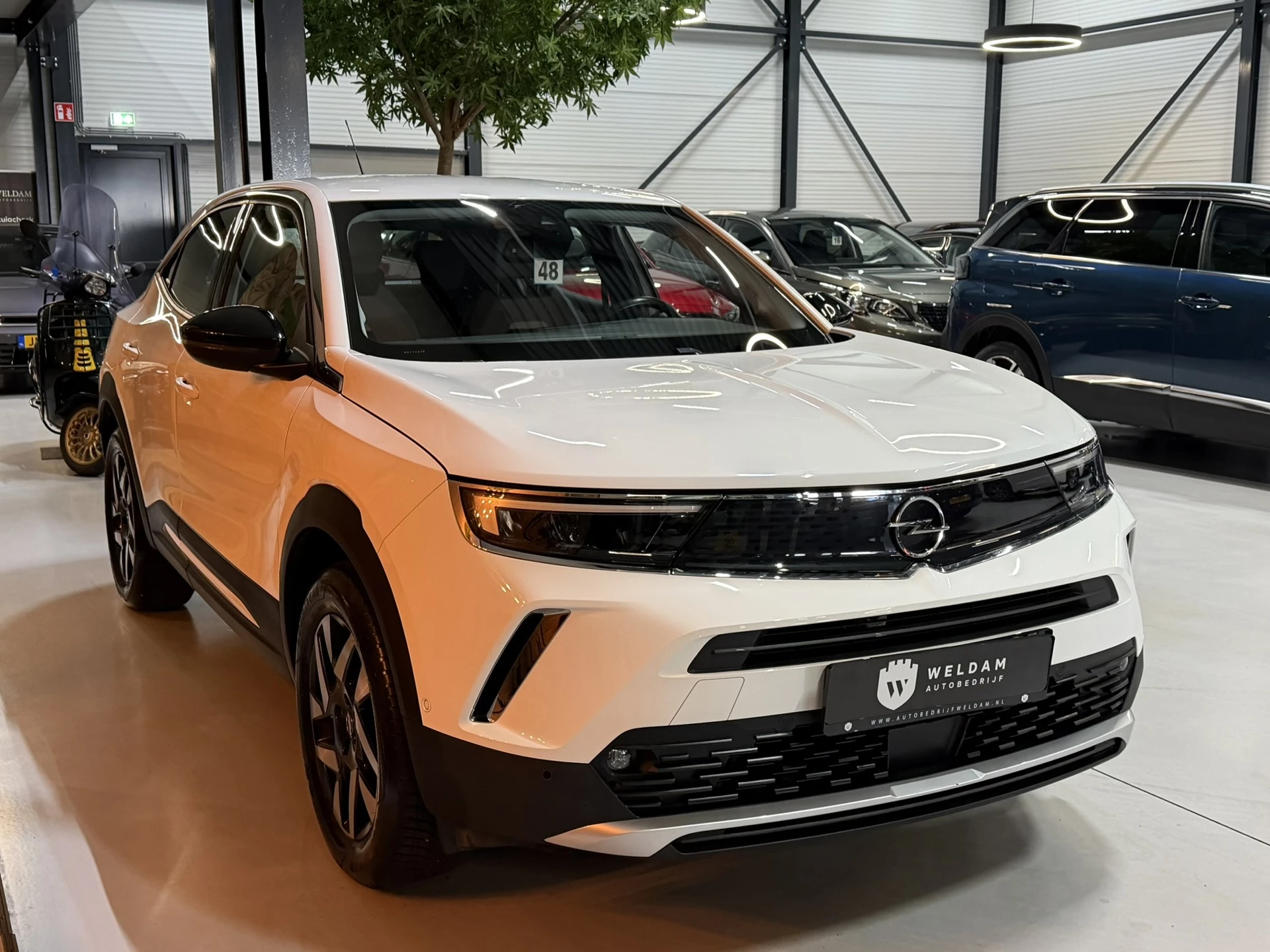 Hoofdafbeelding Opel Mokka