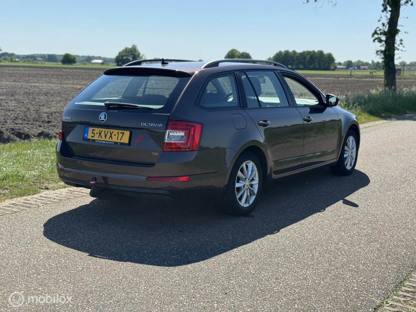 Hoofdafbeelding Škoda Octavia