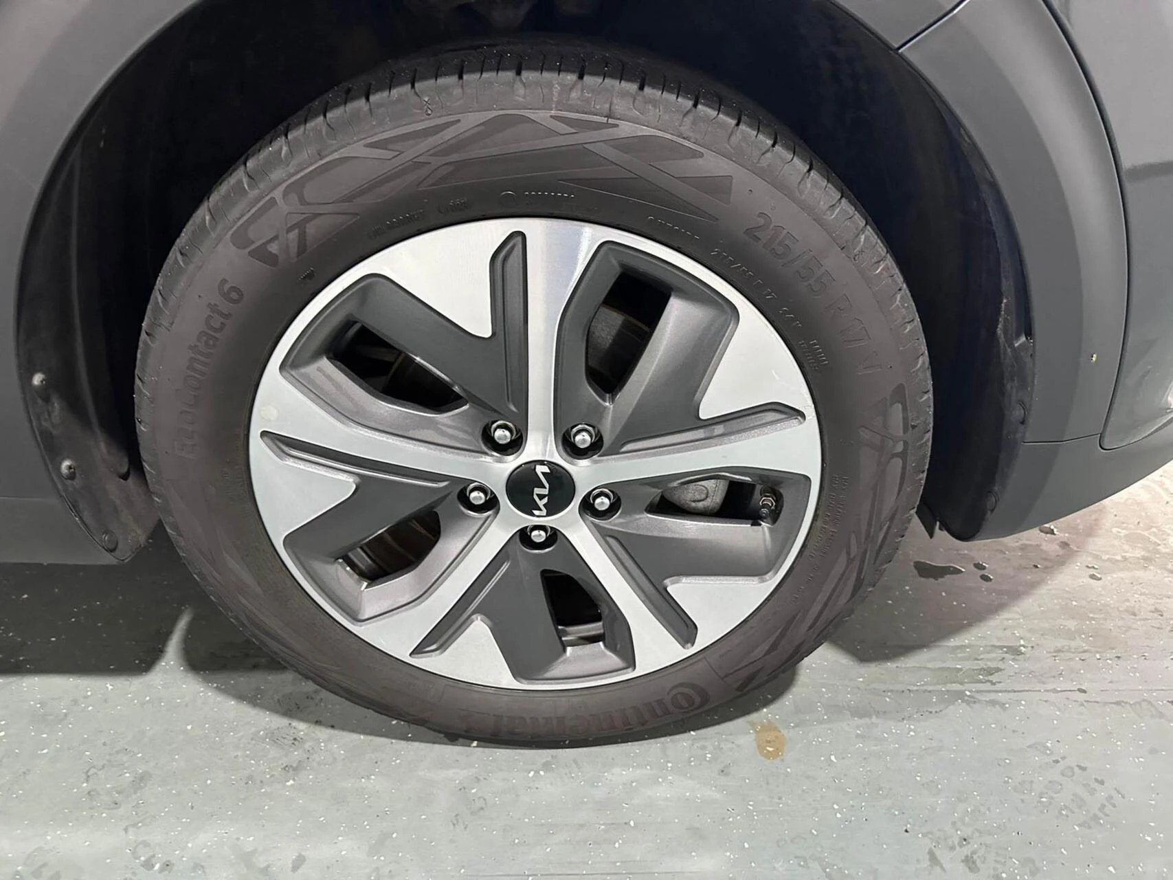 Hoofdafbeelding Kia e-Niro