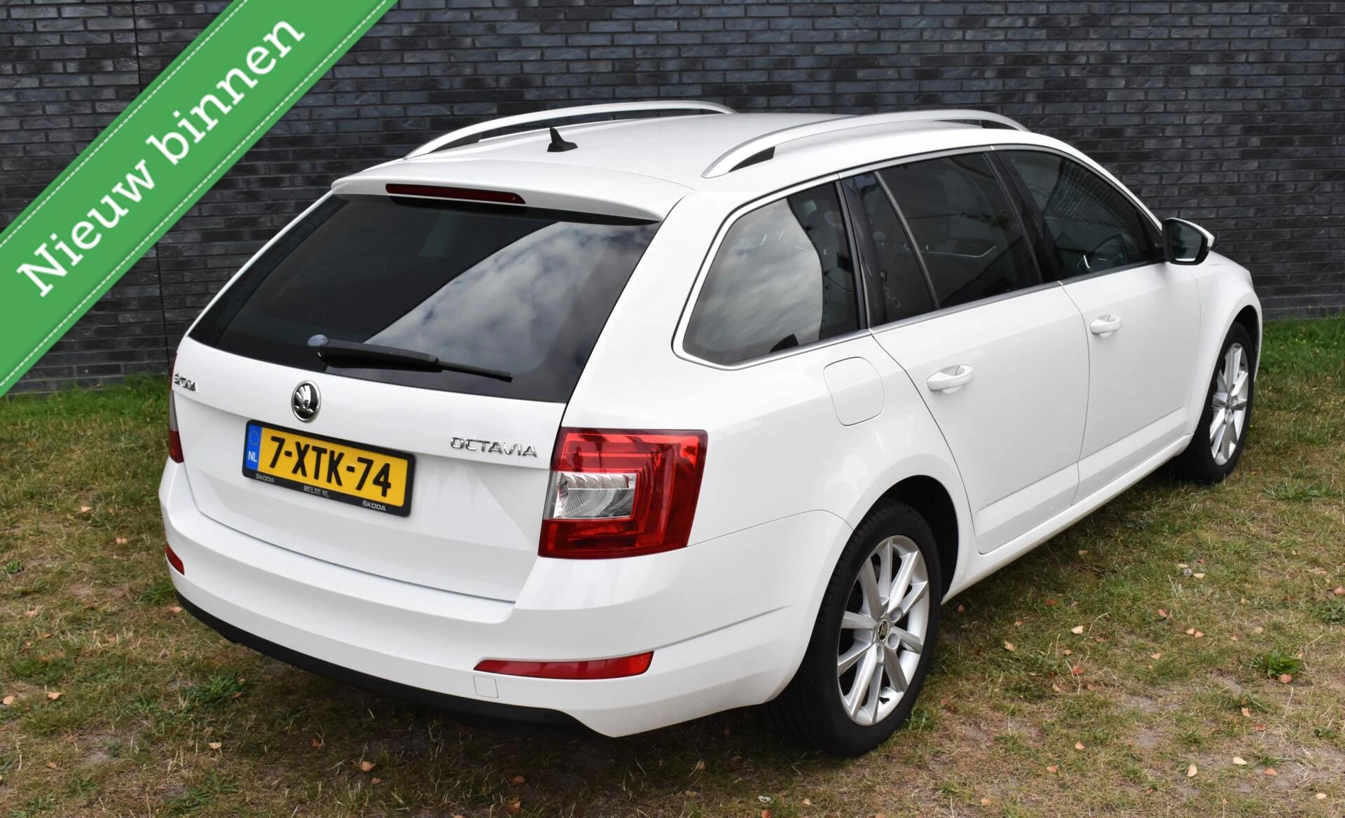 Hoofdafbeelding Škoda Octavia