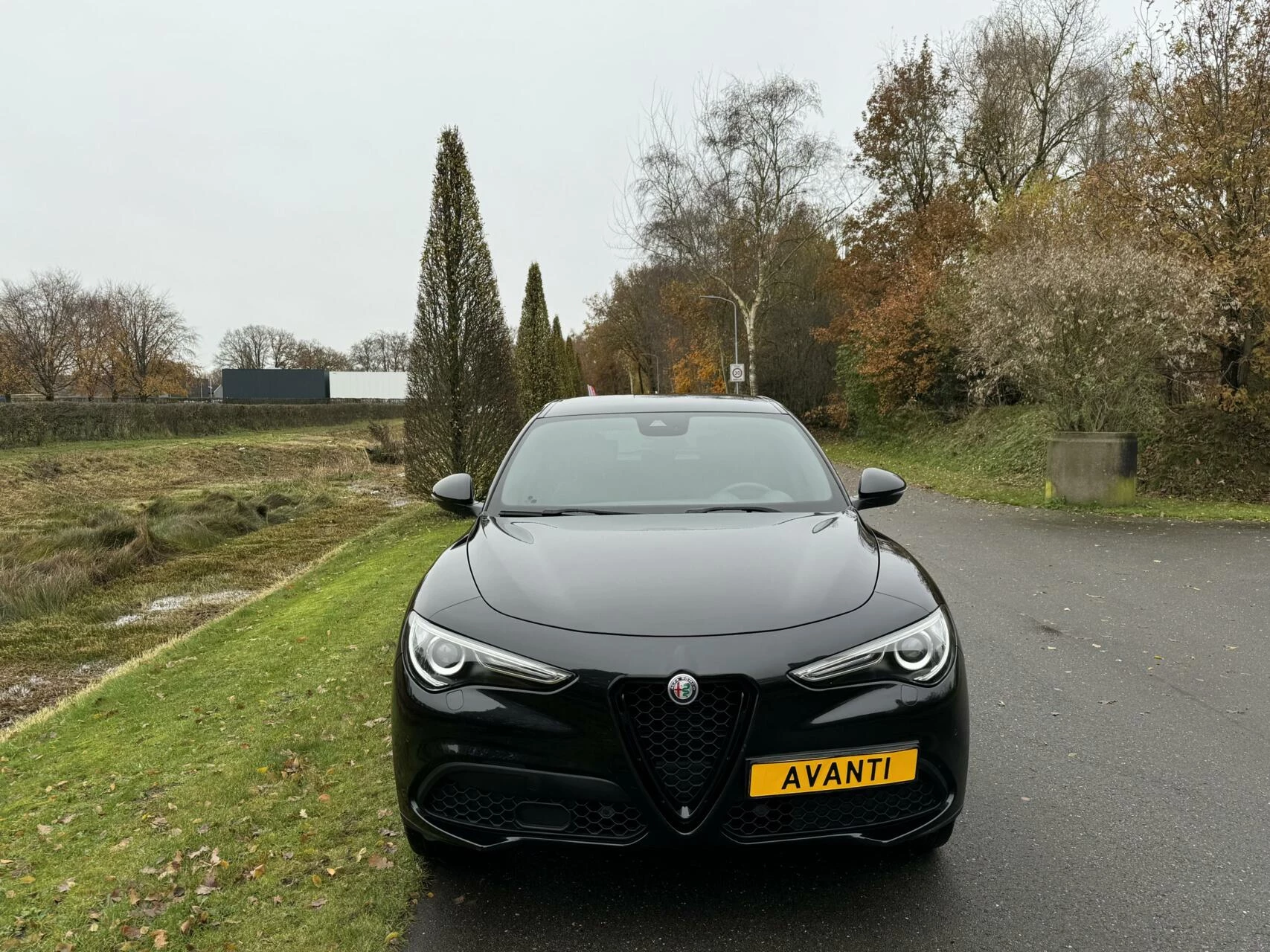 Hoofdafbeelding Alfa Romeo Stelvio