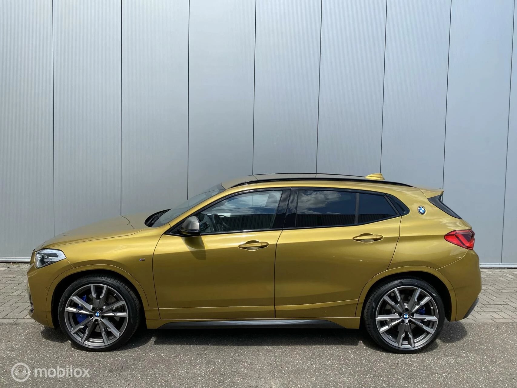 Hoofdafbeelding BMW X2