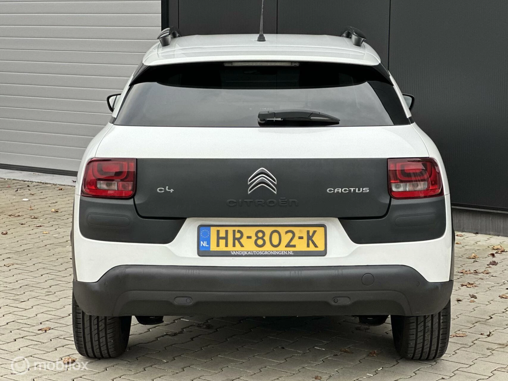 Hoofdafbeelding Citroën C4 Cactus