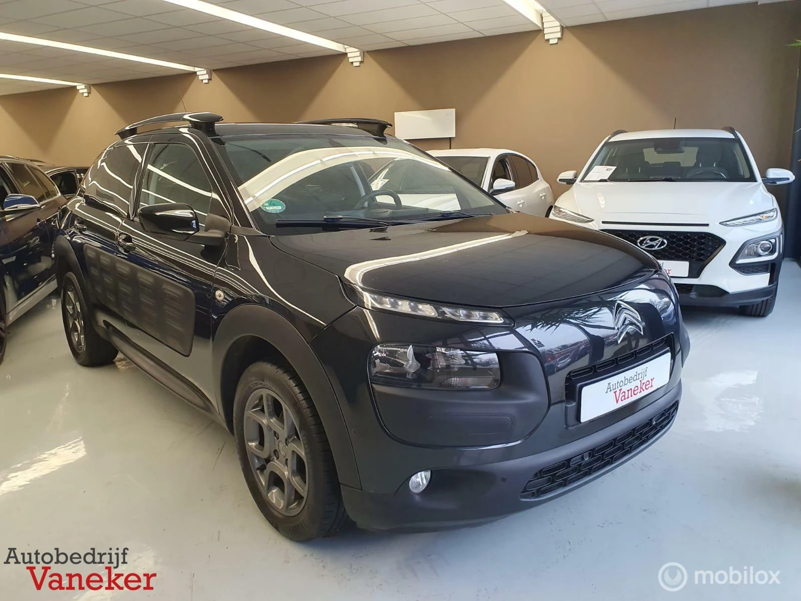 Hoofdafbeelding Citroën C4 Cactus