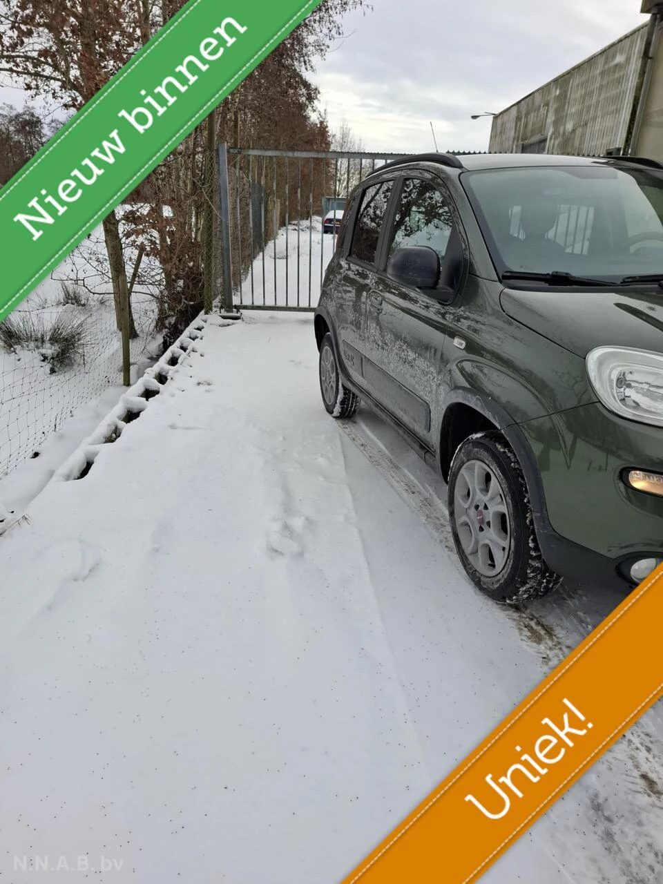 Hoofdafbeelding Fiat Panda