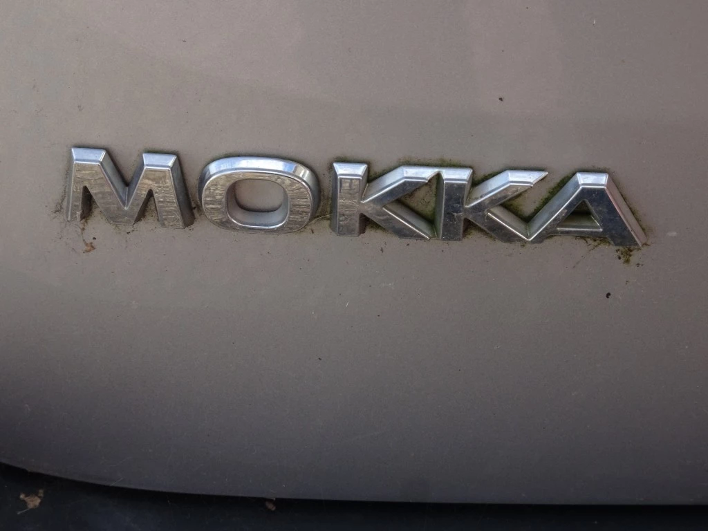 Hoofdafbeelding Opel Mokka