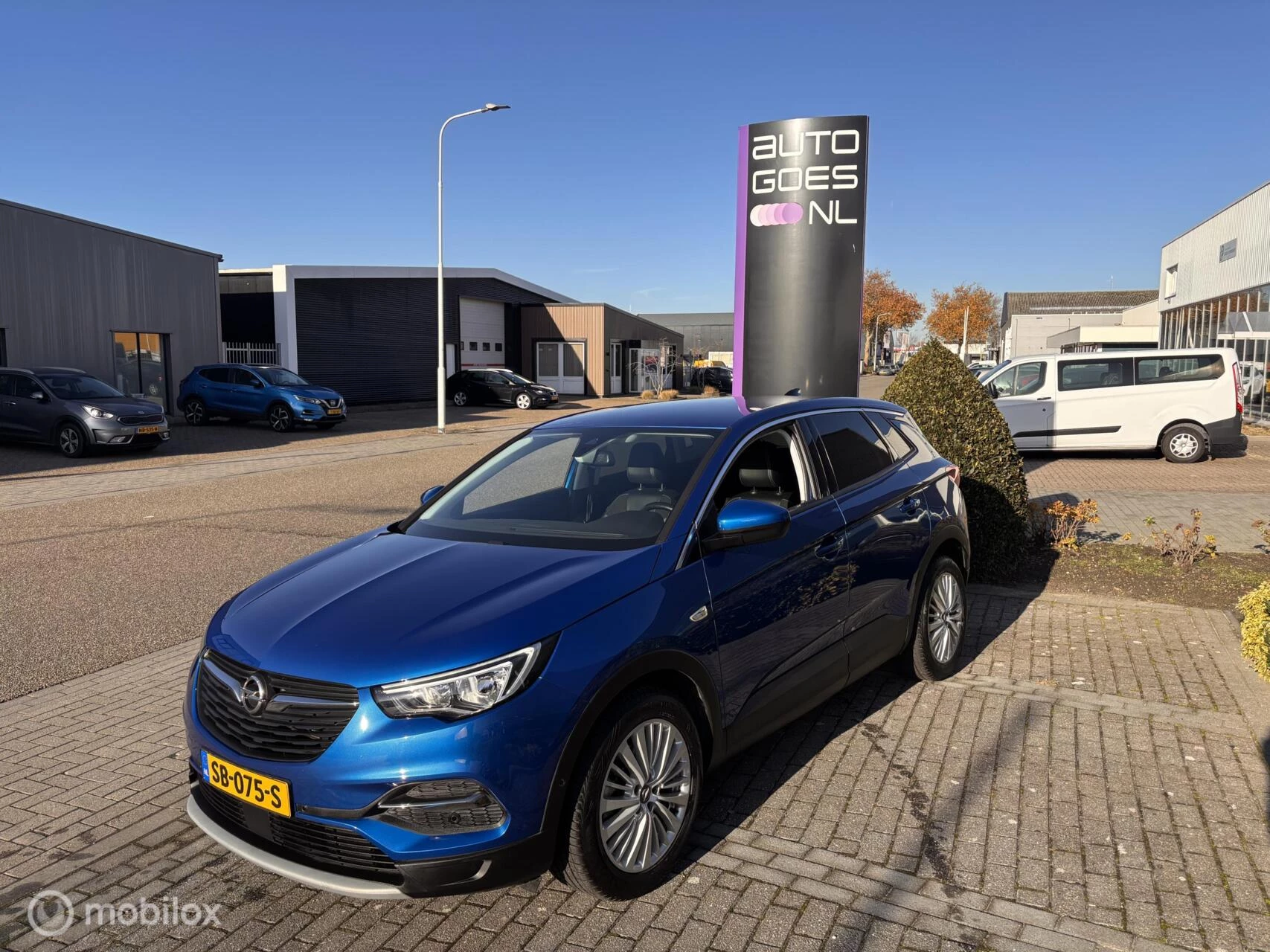 Hoofdafbeelding Opel Grandland X