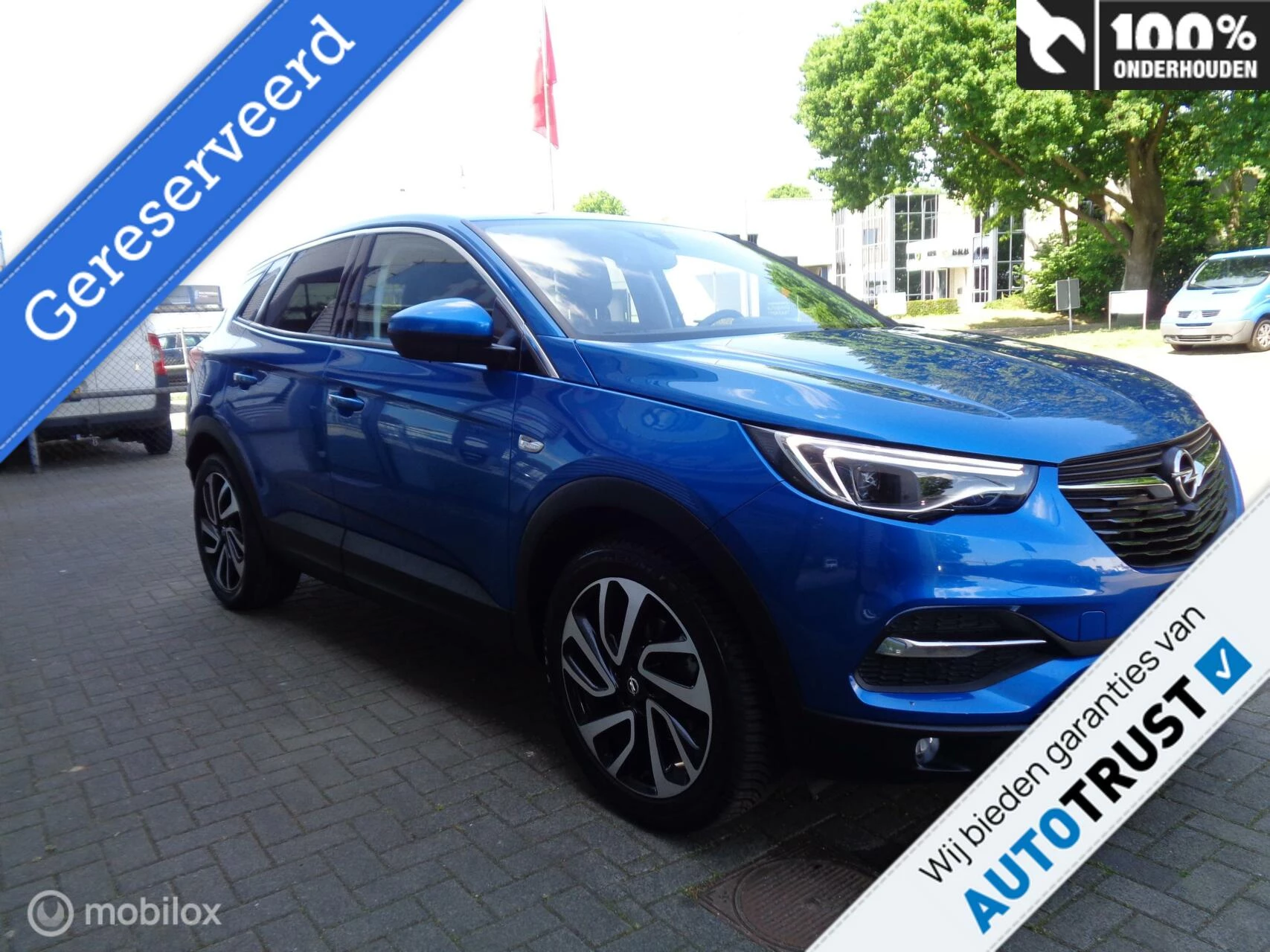 Hoofdafbeelding Opel Grandland X